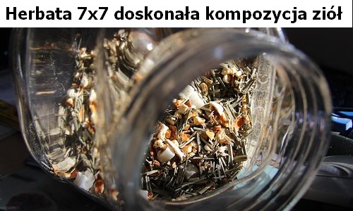 Oczyszczanie organizmu herbatą 7x7
